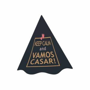 Chapéu Chá Bar Bello Festas 8x8